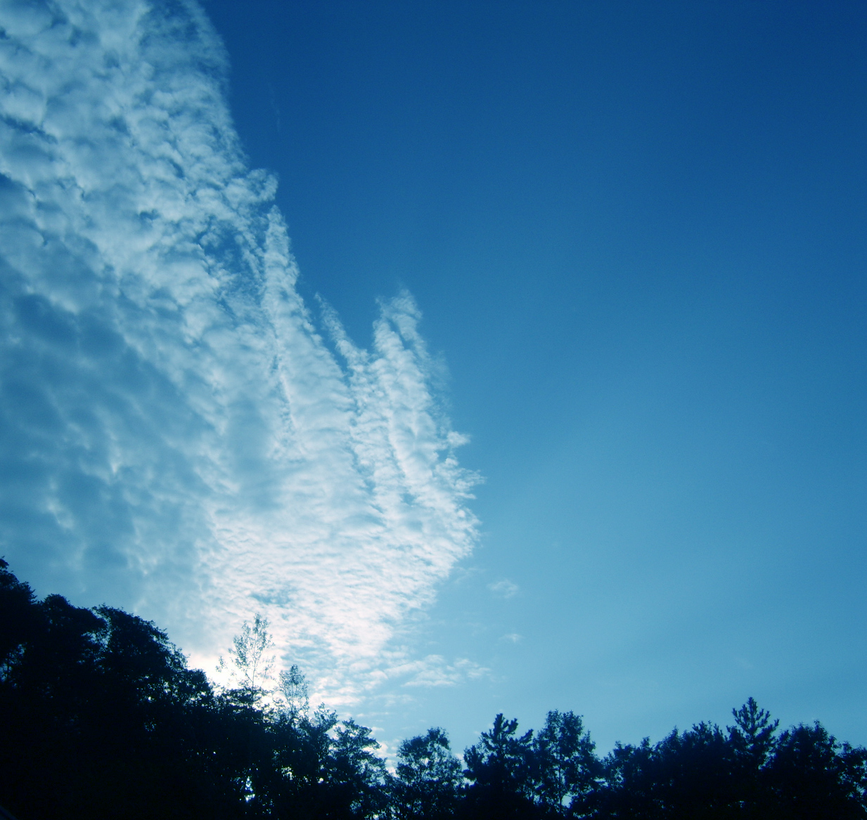 873932709_65df8d63_sky.jpg